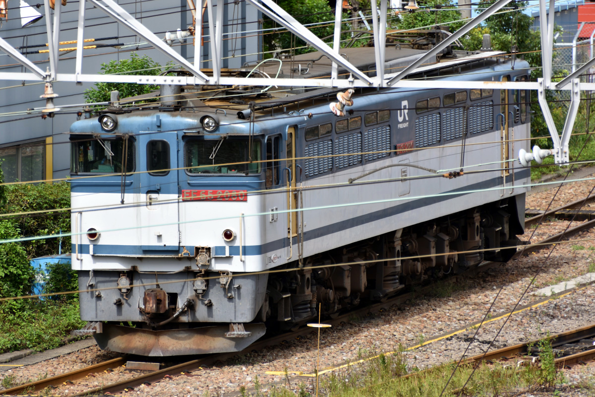 出会える機関車達 ～EF65編～：東京貨物ターミナル：鉄道関連：T's Workroom